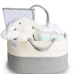 Caddy Organizer