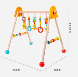 Activity Gym