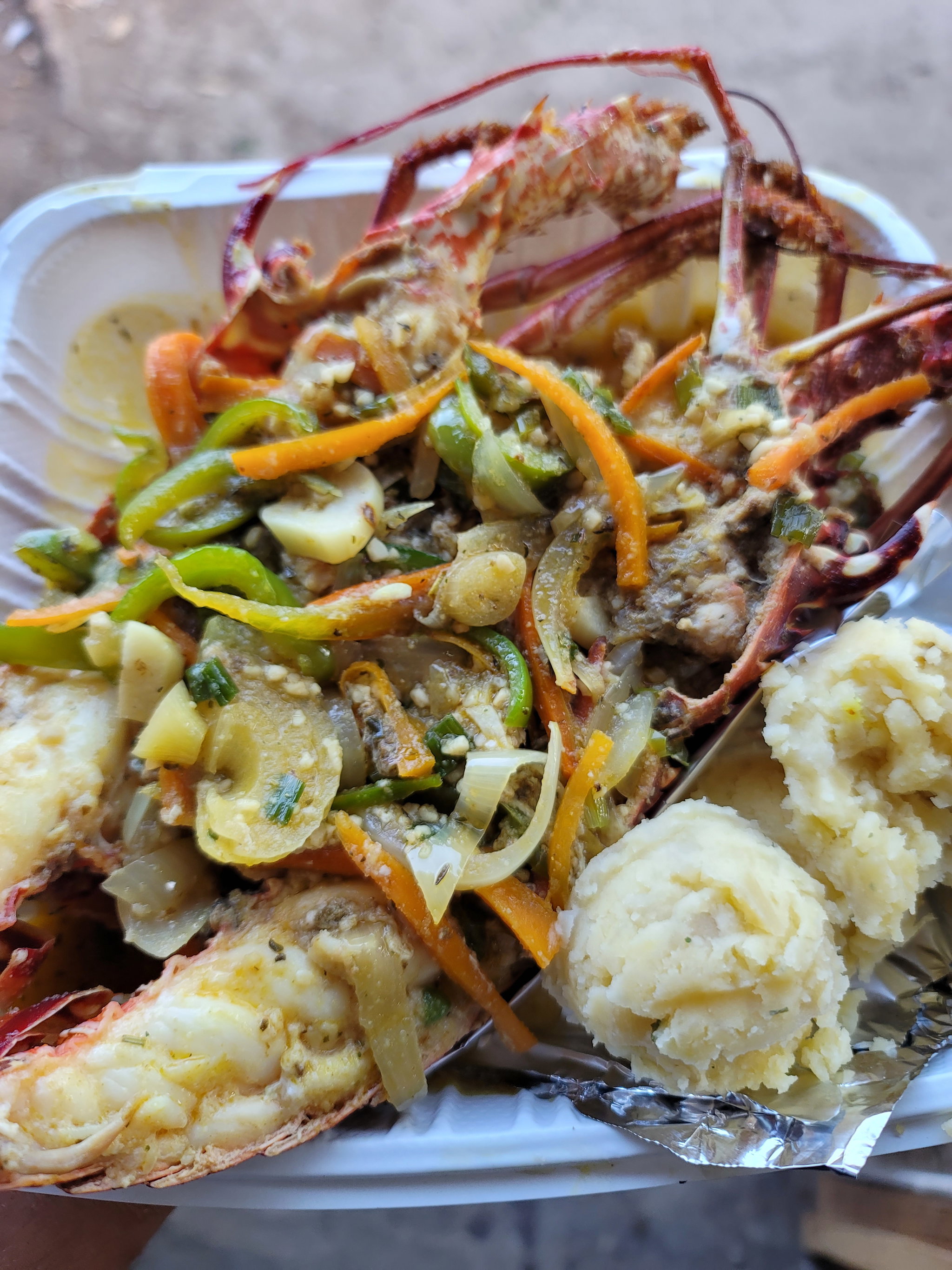 Lobster_1