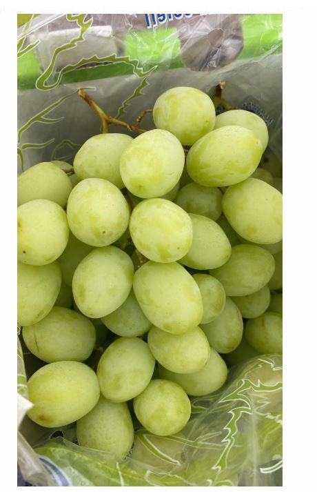 Green Grapes (Sweet Globe/muscat) _0