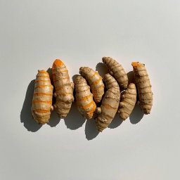 Kunyit