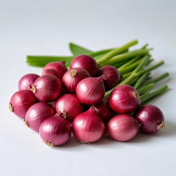 Bumbu Dapur