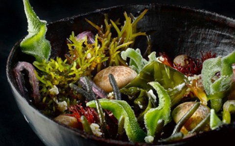 Wakame Salad