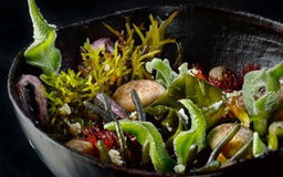 Wakame Salad