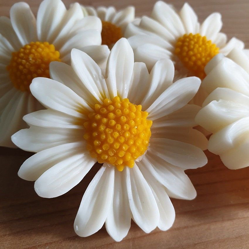 Floral Candle/Wax Melt Card Set_0