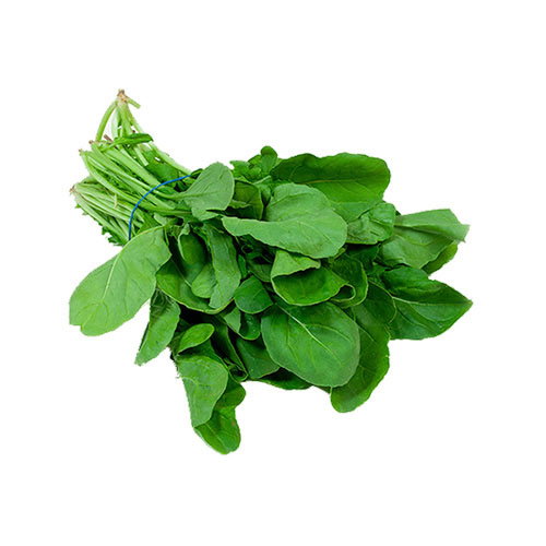 Watercress الجرجير_0