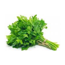 Parsley بقدونس_0