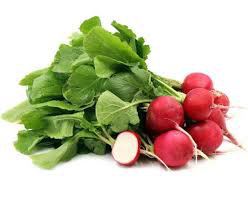 Radish فجل