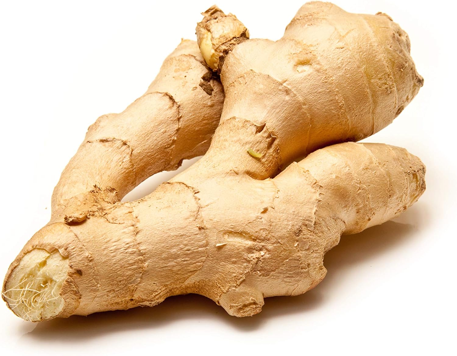 Ginger زنجبيل_0
