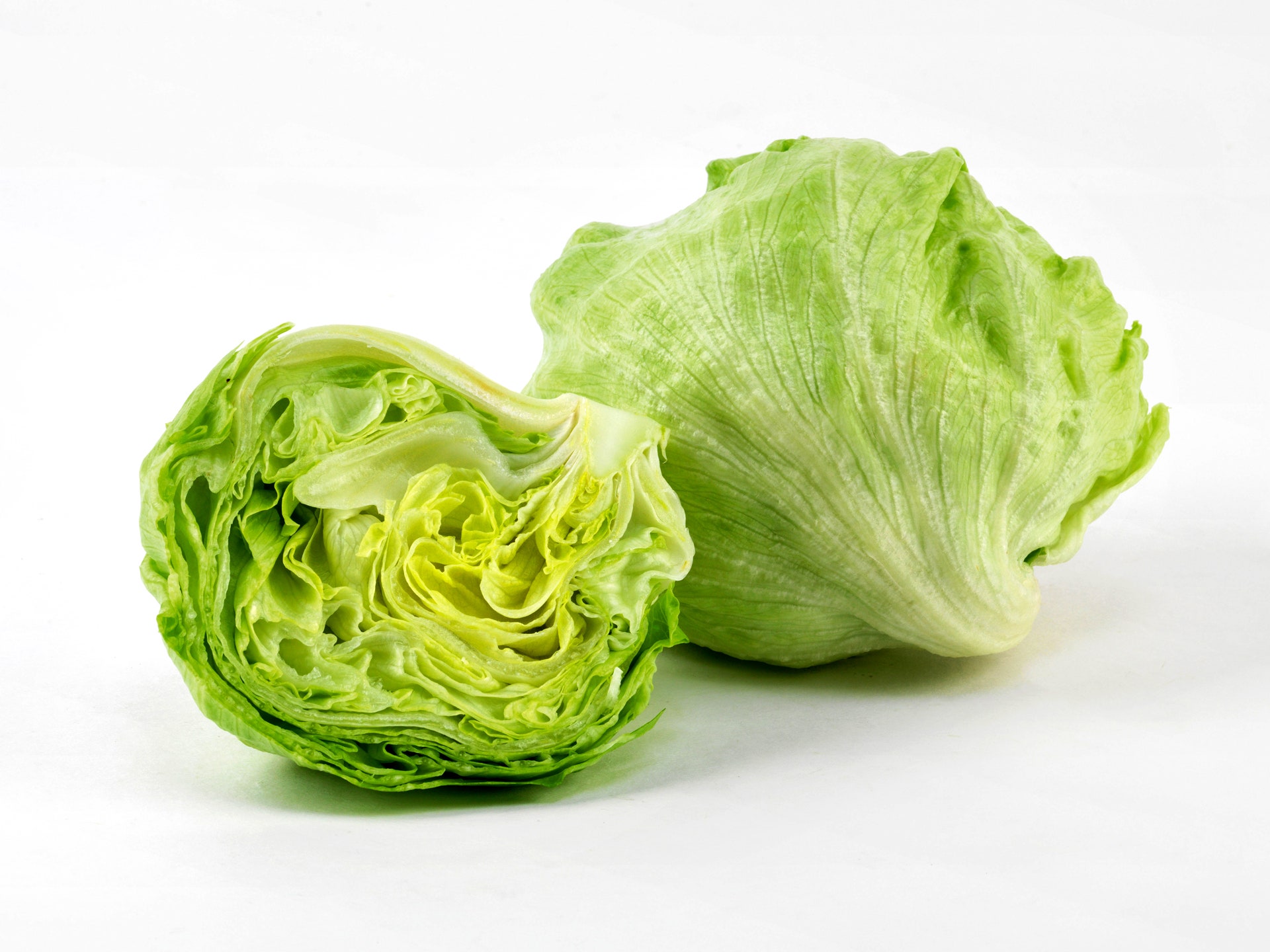 Iceburg lettuce American خس امريكي_0