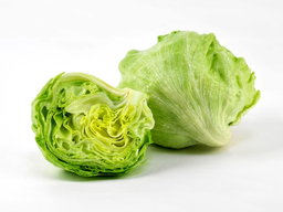 Iceburg lettuce American خس امريكي