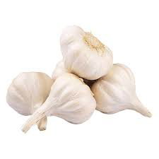 Garlic ثوم