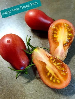 🍅INDIGO PINK PEAR DROPS🍅 x 10 seeds 
