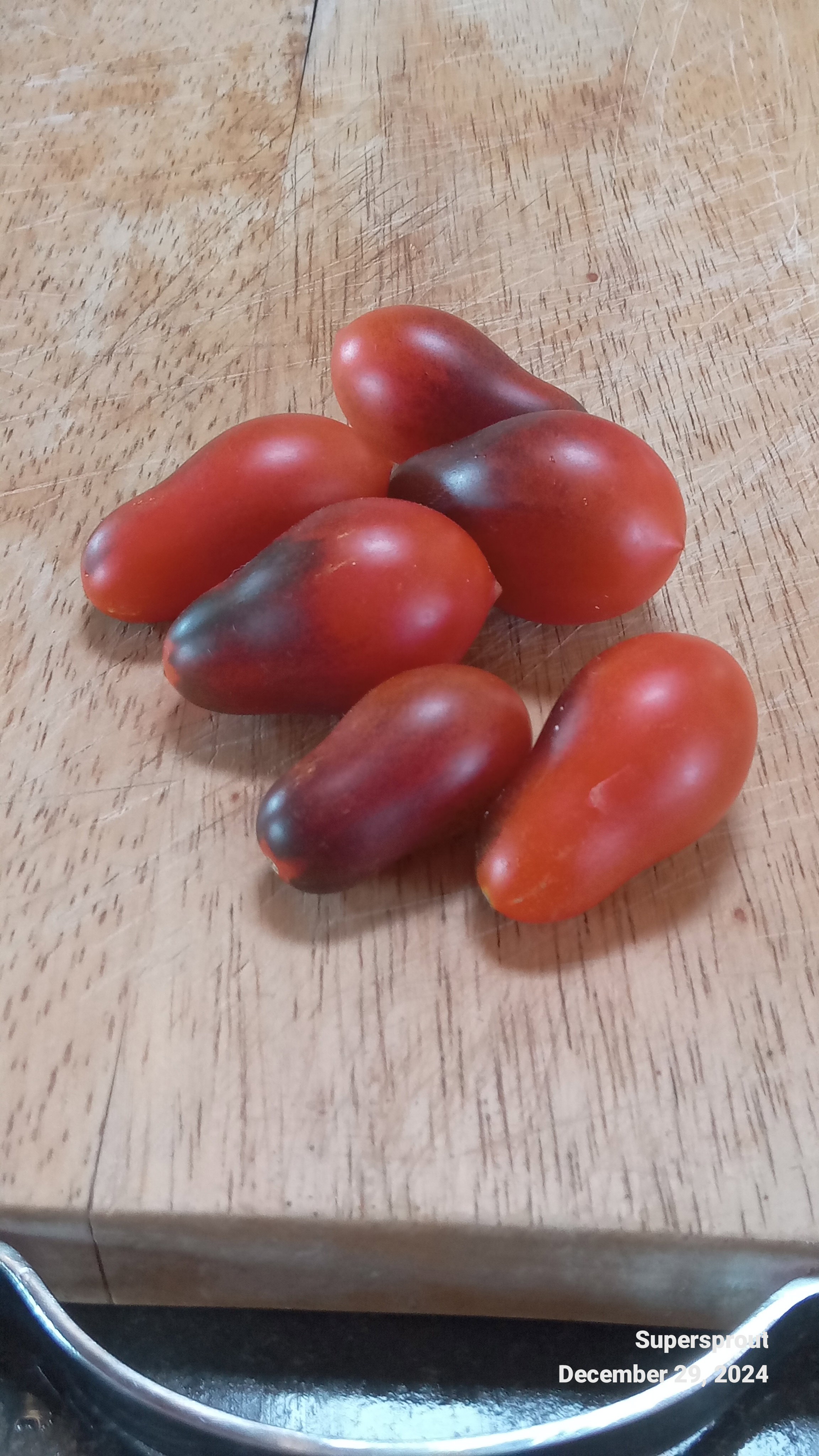 🍅INDIGO PINK PEAR DROPS🍅 x 10 seeds _4