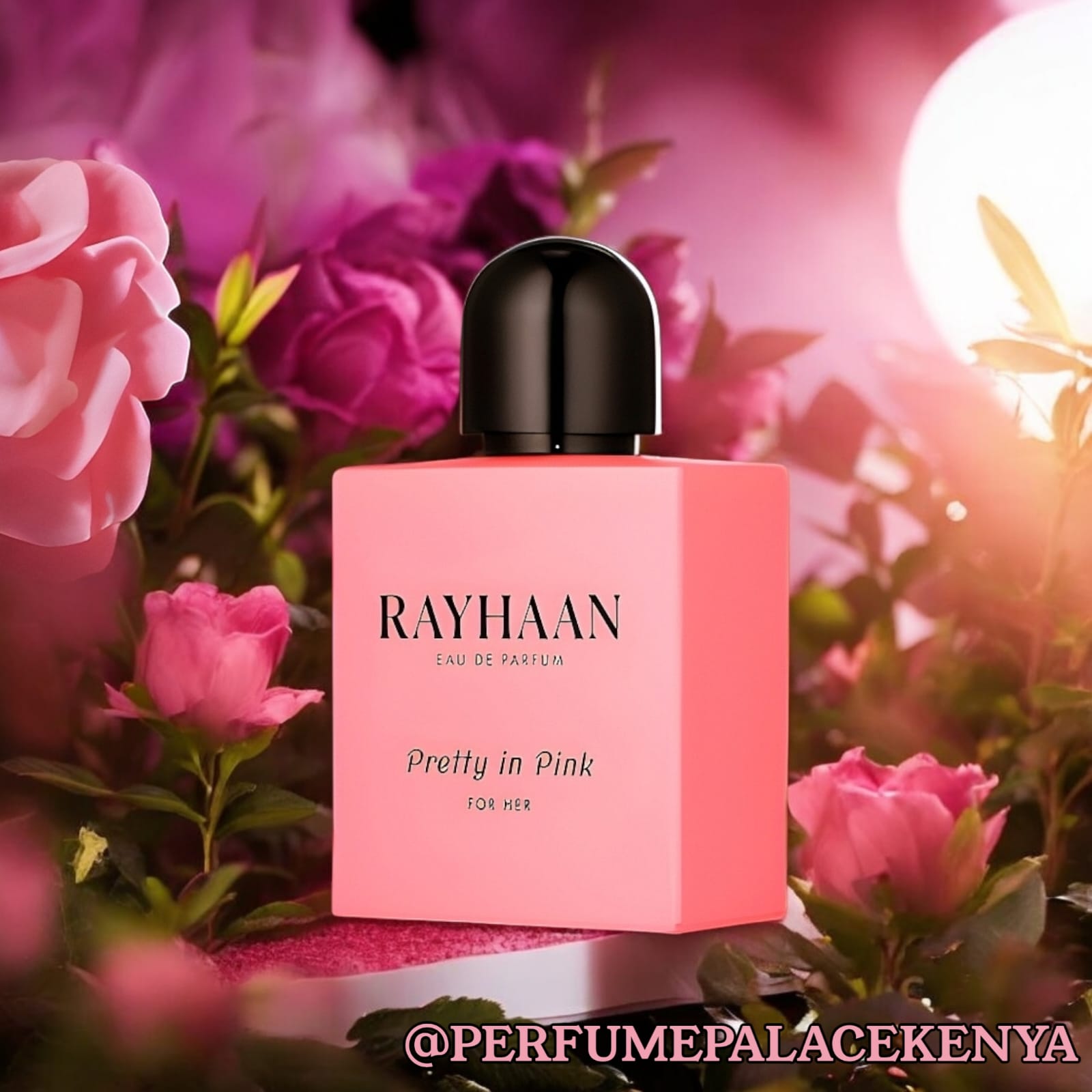 RAYHAAN PREETY IN PINK_0