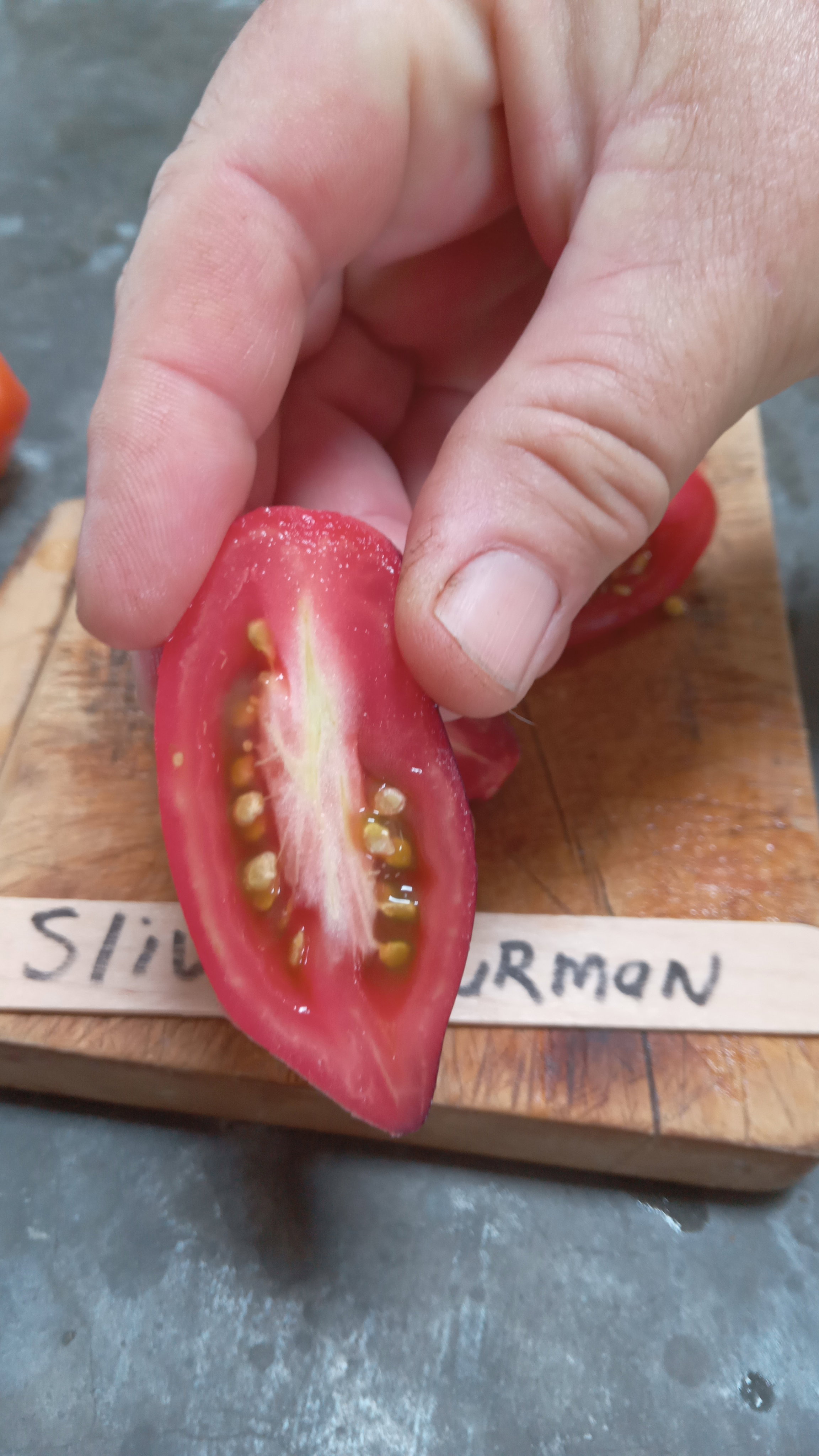 🍅SLIVKA GURMAN TOMATO🍅 x 10 seeds_5