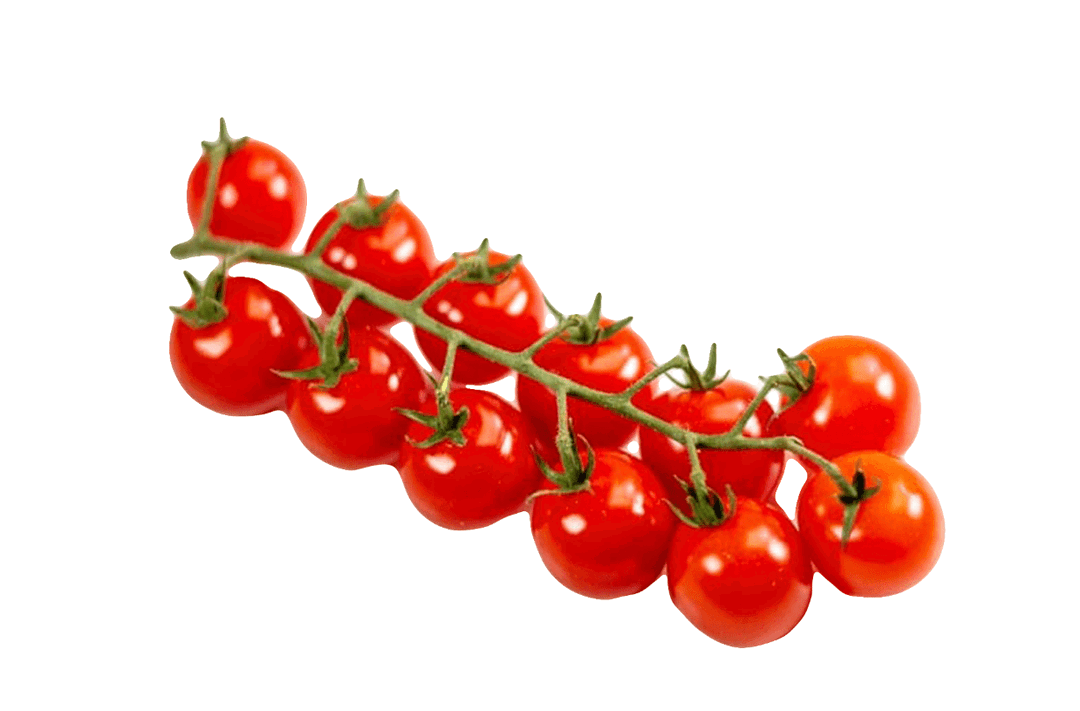 Cherry tomato طماطم كرزية