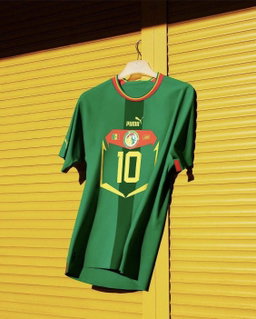 Sénégal 🇸🇳 