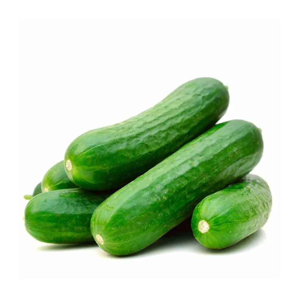 Cucumber خيار_0