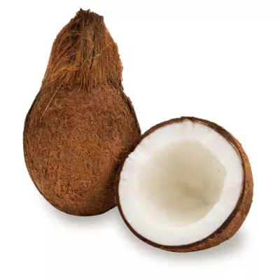 Coconut_0