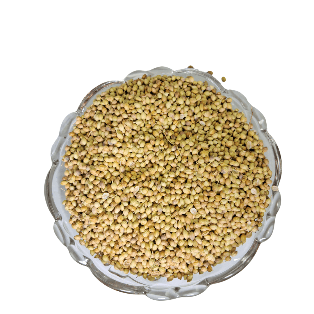 Coriander Seeds