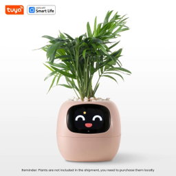 Plants Decoration