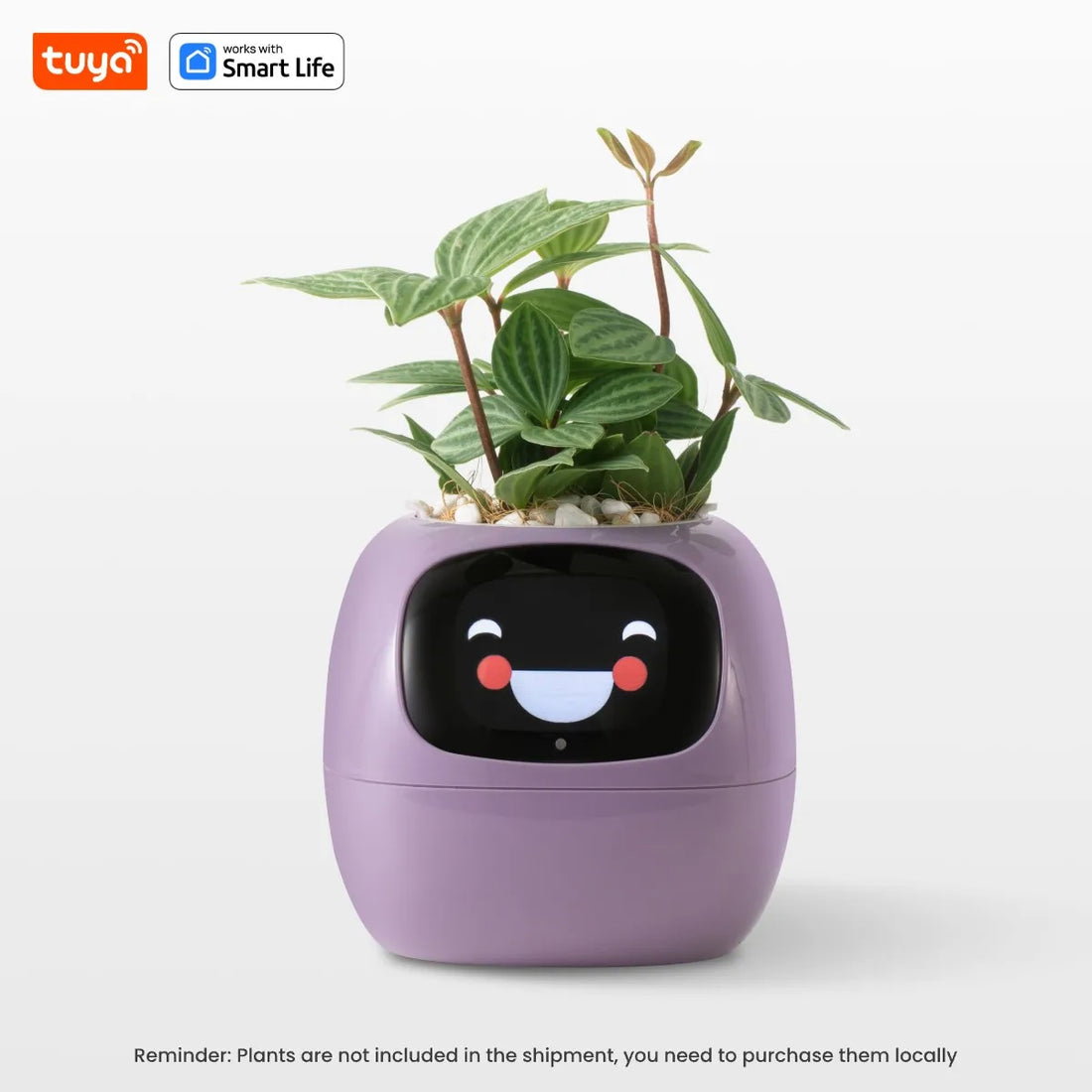 Plantagotchi - AI Smart Planter_4