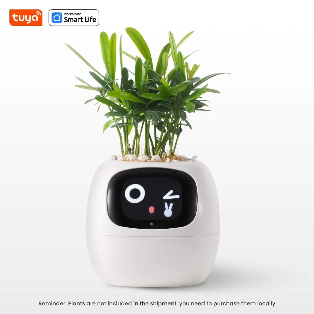 Plantagotchi - AI Smart Planter_5