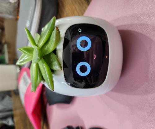 Plantagotchi - AI Smart Planter_11