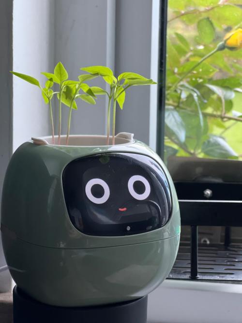 Plantagotchi - AI Smart Planter_9