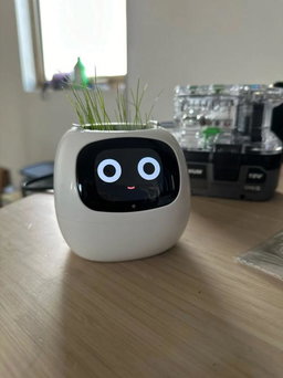 Plantagotchi - AI Smart Planter