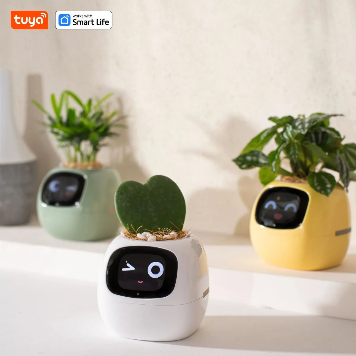 Plantagotchi - AI Smart Planter_2