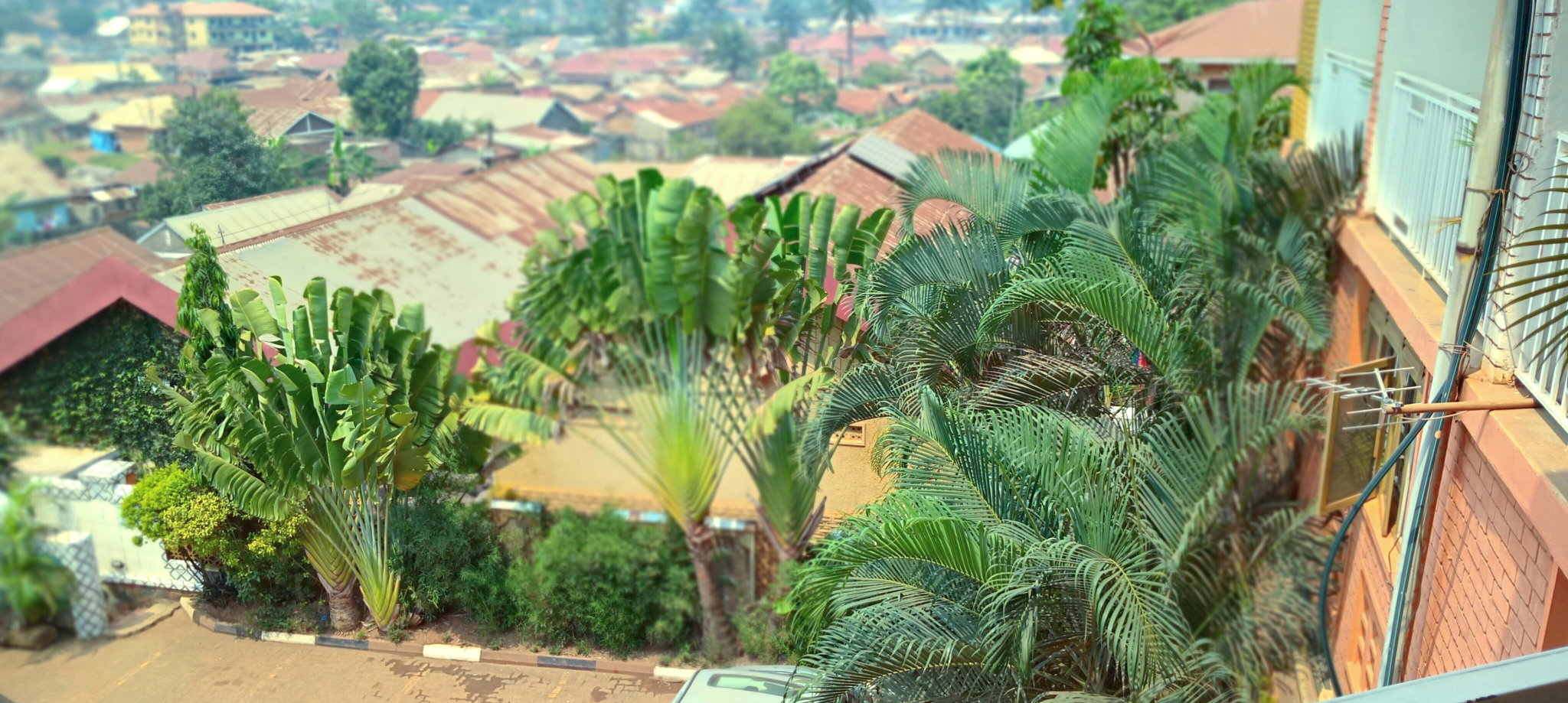 STANDARD SINGLE ROOMS _2