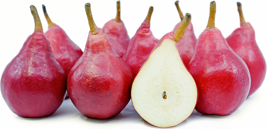 Red pears_1
