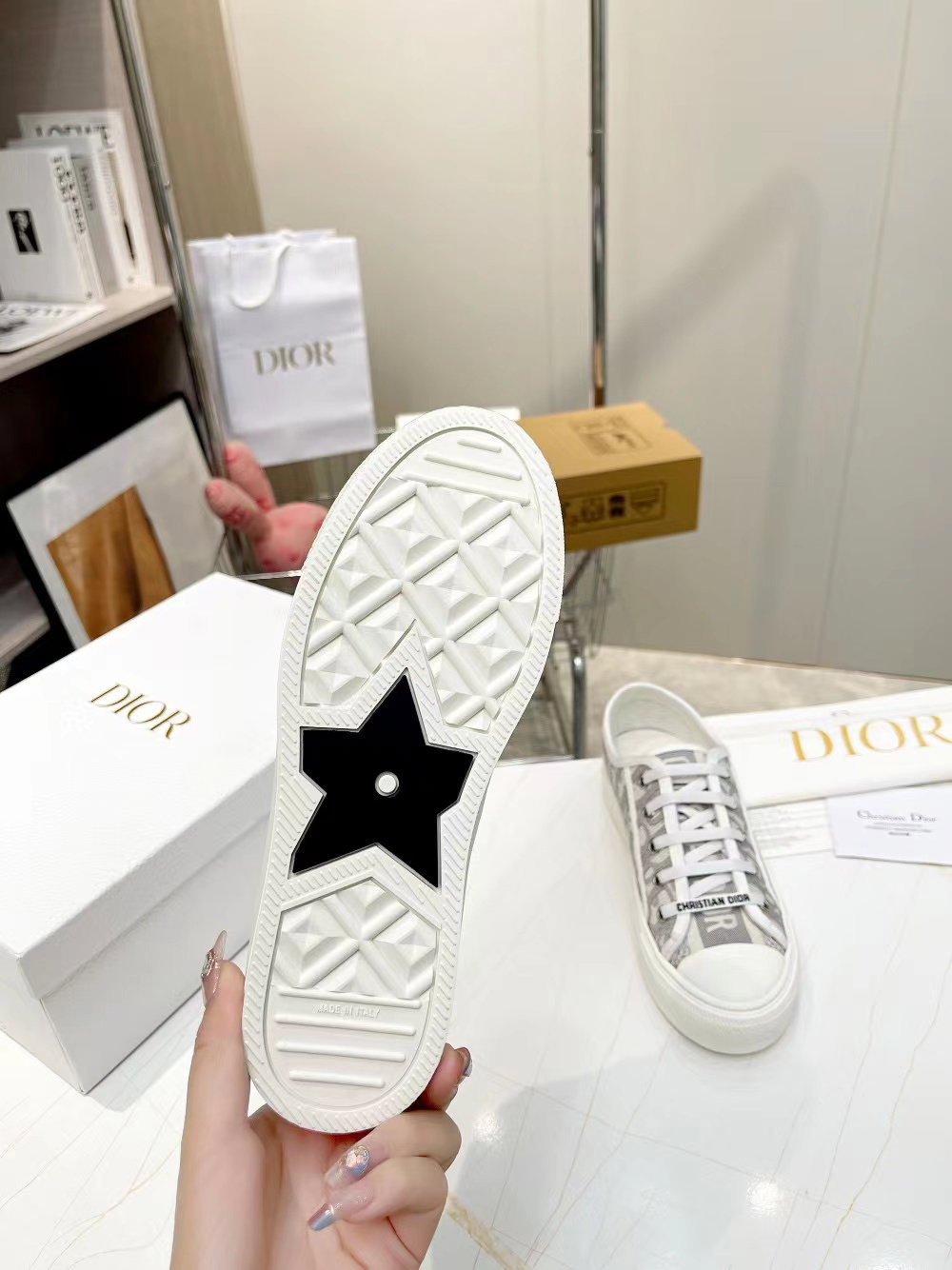 Dior Sneaker_7