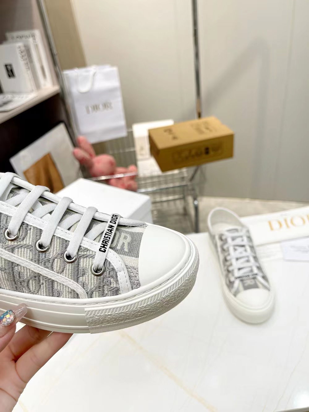 Dior Sneaker_6