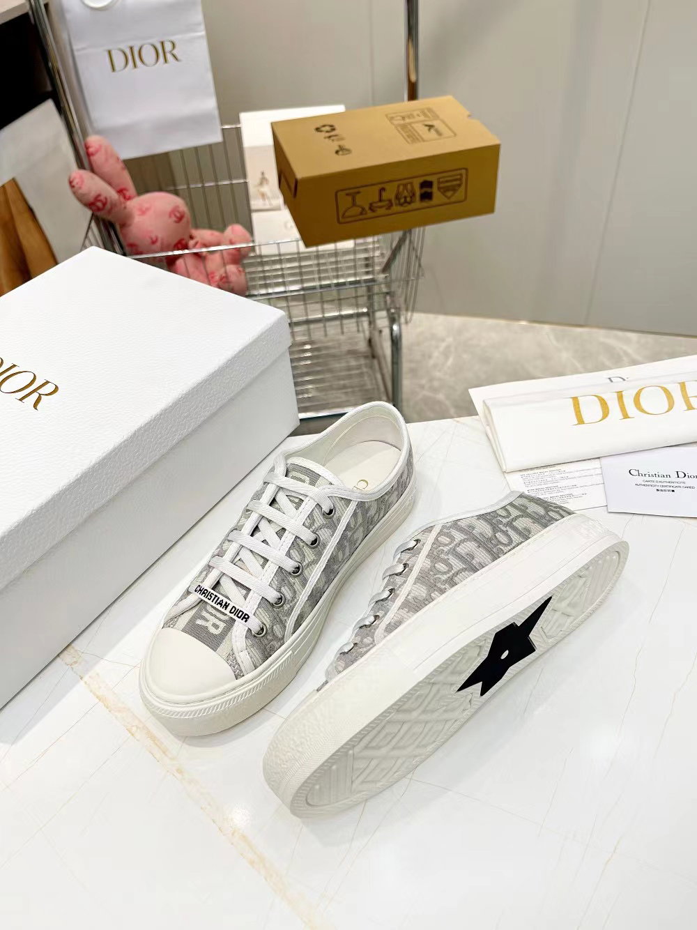 Dior Sneaker_2
