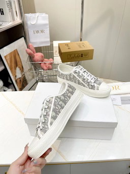 Dior Sneaker
