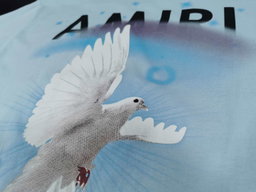 Amiri Tee