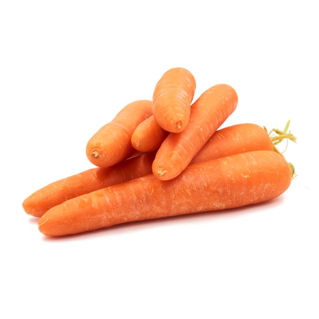 Carrot Chinese جزر صيني_0
