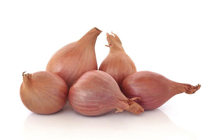 shallots الكراث_0