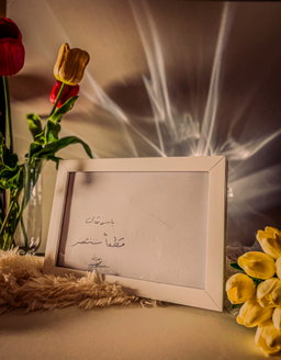 Sayed