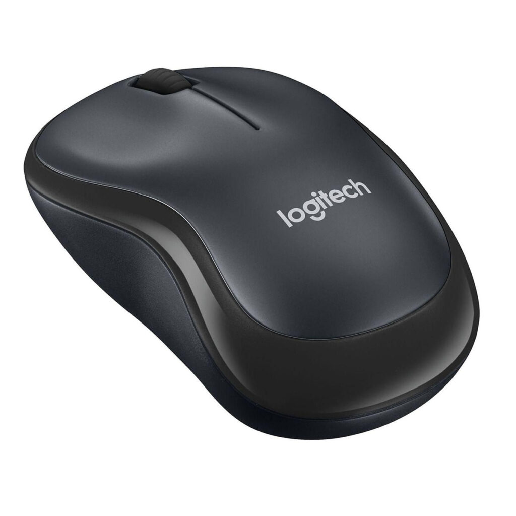 Souris_2