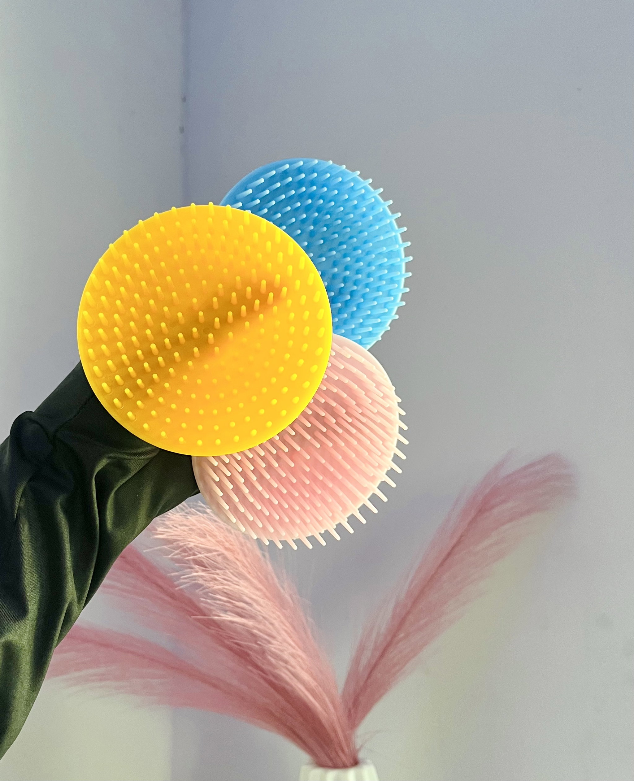 𝐒𝐜𝐚𝐥𝐩 𝐁𝐫𝐮𝐬𝐡_0