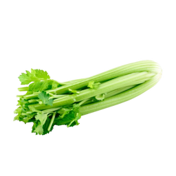 Celery USA كرفس