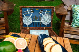 Vintage Beach Picnic Hampers