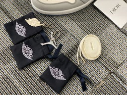 Dior Sneaker