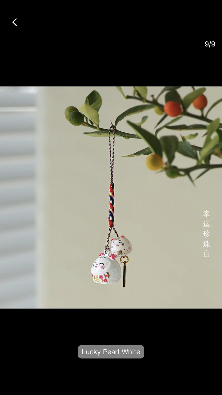 Japanese Retro Lucky Cat