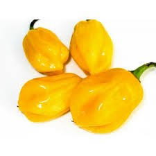 Piments frais_1