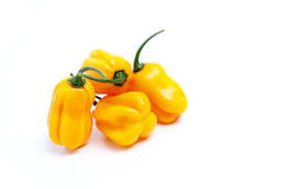 Piments frais